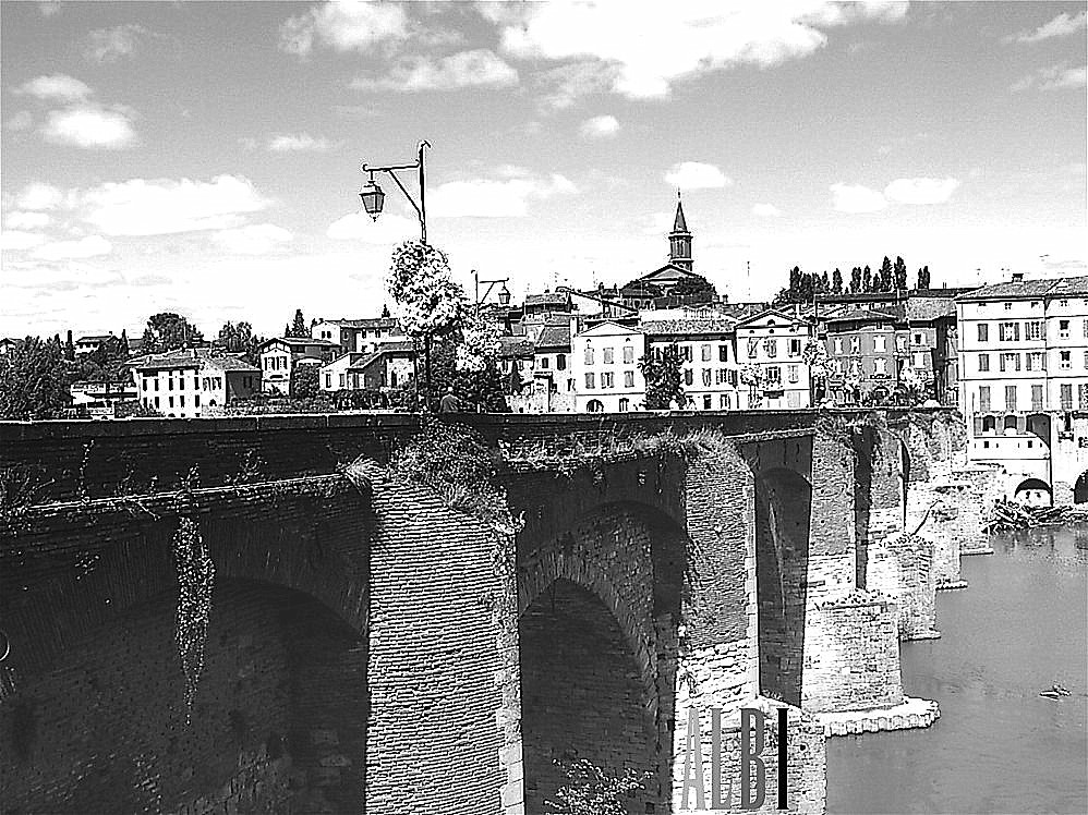 Albi