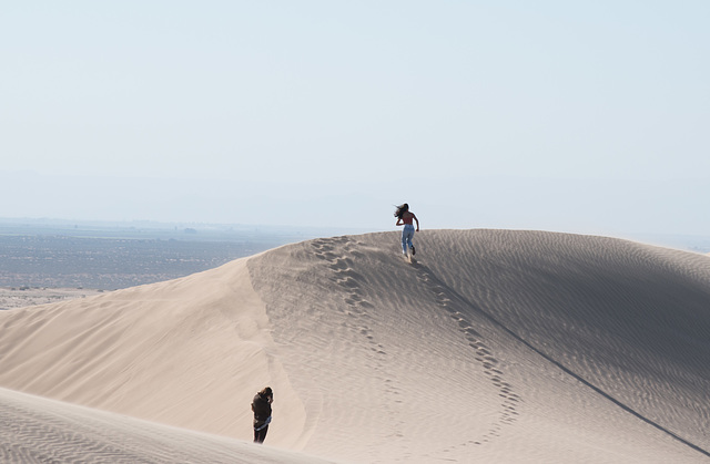 Algodones Dunes / influencer? / Thanksgiving 2020 (# 0610)