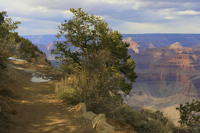 South Rim Trail