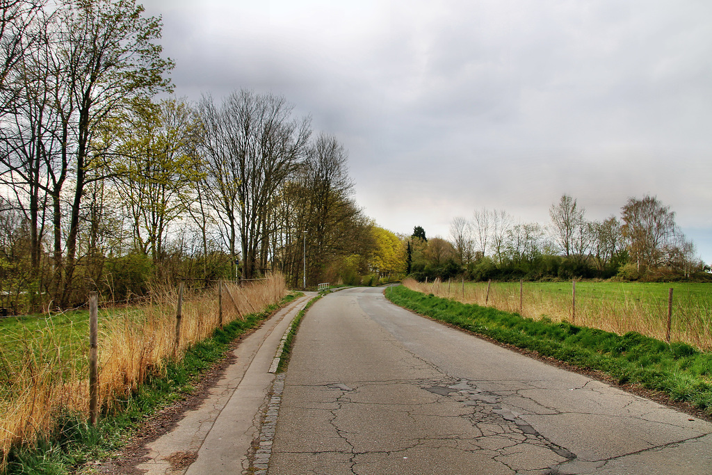 Hansbergstraße (Mülheim an der Ruhr) / 2.04.2022