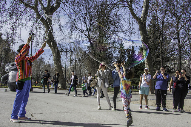 Sonntags im Parque del Retiro (© Buelipix)