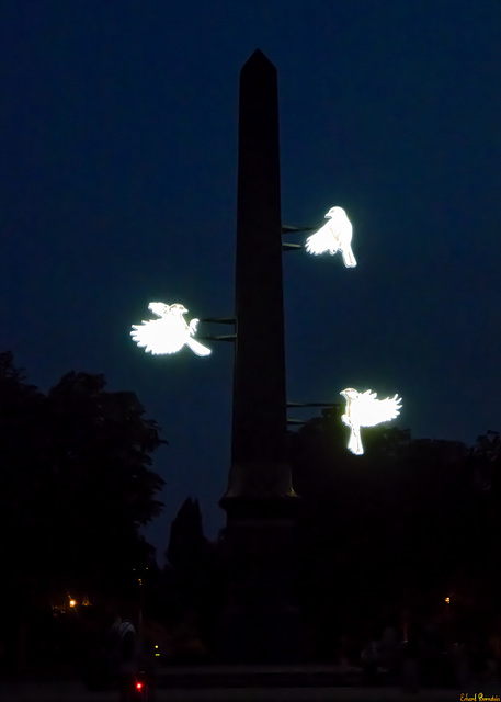 Vorfreude auf das Ipernity-Treffen zum Braunschweiger Lichtparcours (PiP)