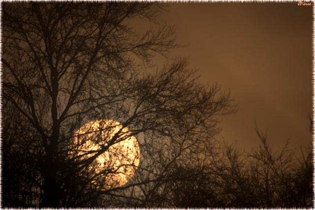 Lever de soleil dans la brume