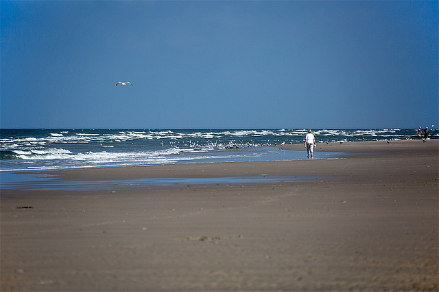 20140912 5242VRAw [NL] Terschelling