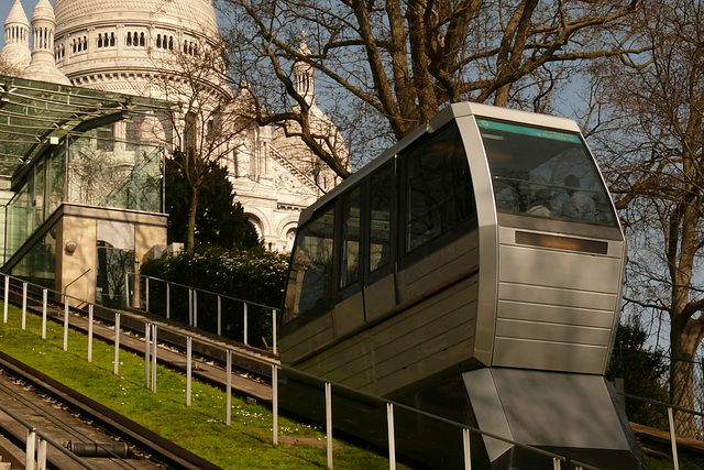 Pheniculaire du Sacré Coeur