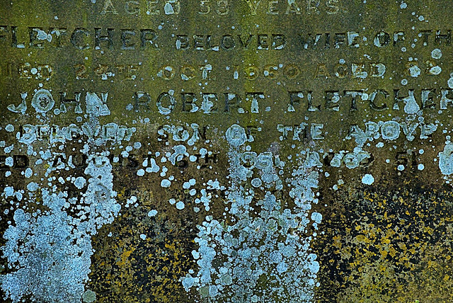 Detailed In Wallsend Cemetery