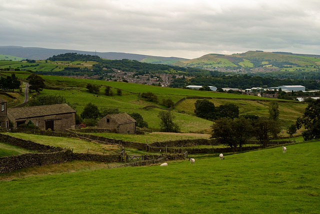 Arnfield Farm