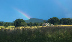 Pot o' Gold