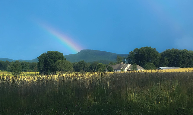 Pot o' Gold