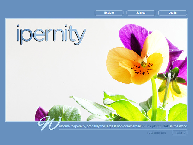 ipernity homepage with #1337