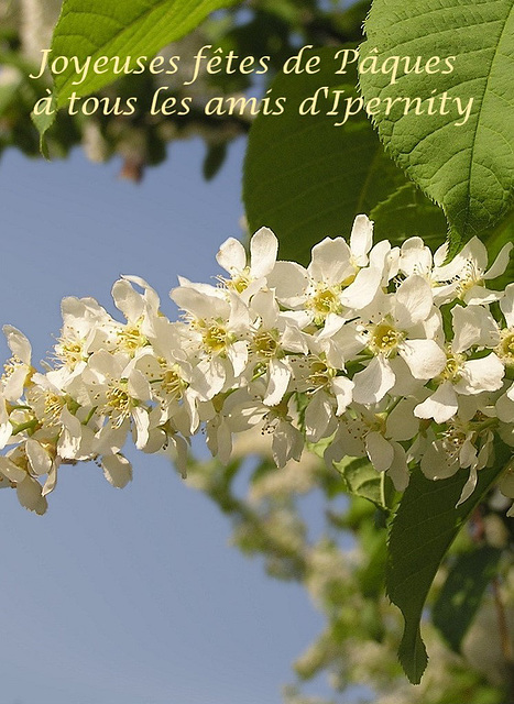 Joyeuses fêtes de Pâques !