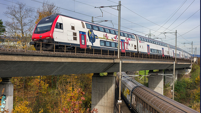 251031 Othmarsingen 13