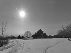 winter sun winter sun