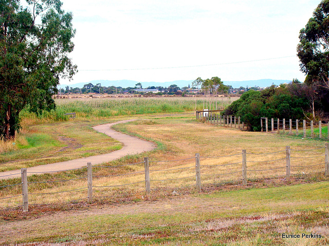 Track Behind Reserve.