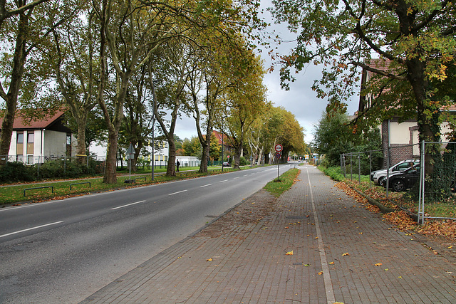 Herner Straße (Recklinghausen) / 3.10.2017