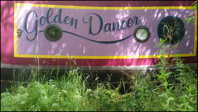 Golden Dancer