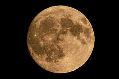 1 Tag vor Vollmond