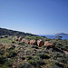 Cape Sounion - Temple of Poseidon Cape Sounion - Temple of Poseidon
