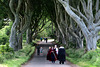 IMG 5283-001-Dark Hedges 9