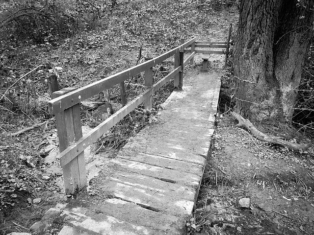 ''A Happy fence Friday'' to all - and 'Good wishes' too... from > Dj...not so much a fence - but a bridge with history.