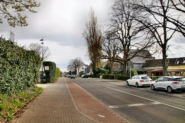 Freiherr-vom-Stein-Straße (Mülheim-Winkhausen) / 2.04.2022