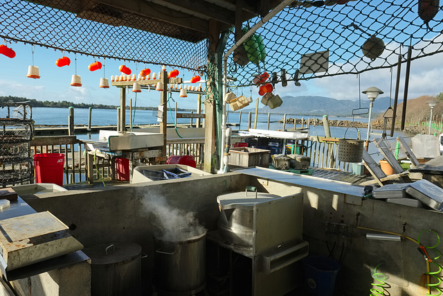 Boiling Crab Pots