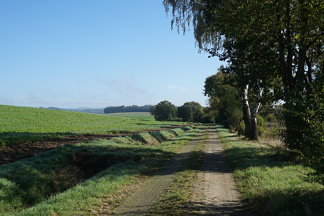 Bodenseer Straße