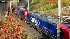 251031 Othmarsingen 17