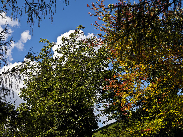 From green to yellow, to red, with the contribution of the sky