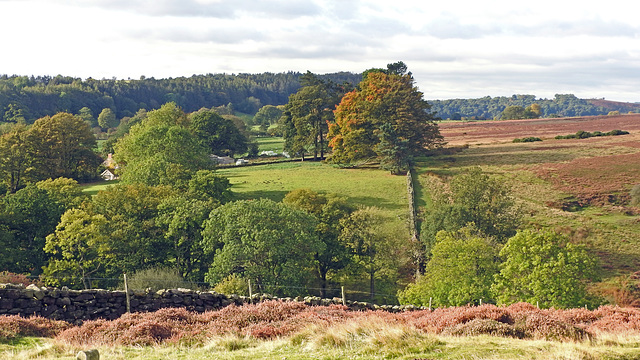 View above Lastingham