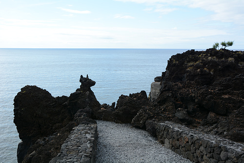 Azores, The Island of Pico, Volcanic Rock Puppy