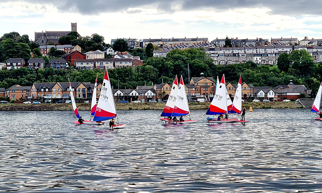 Topper Sailing