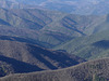 20241220 Col del'Asclier (Cévennes) (15)