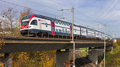 251031 Othmarsingen 19