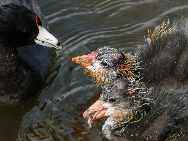 Being a good mother