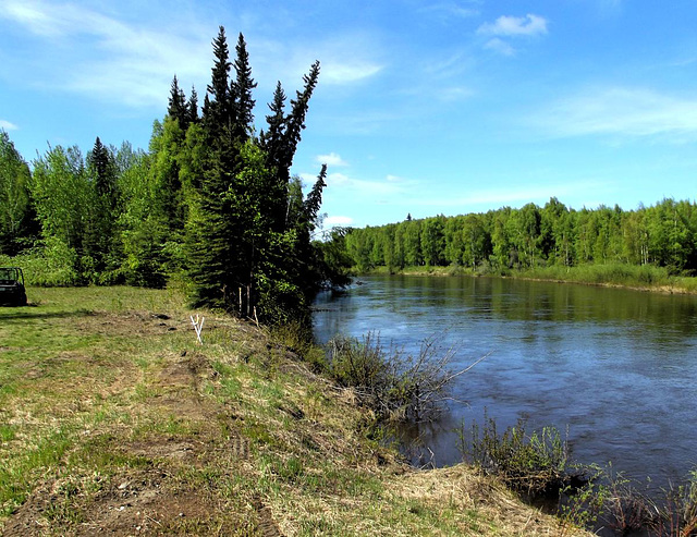 The river's running bank high