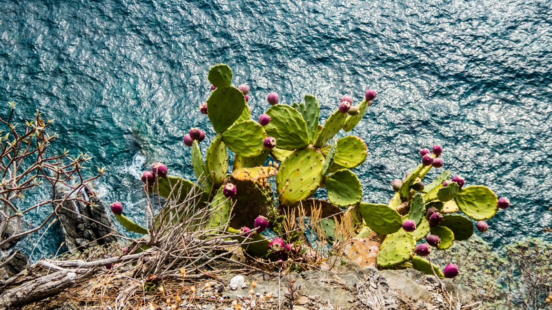 18_09_Cinque Terre / Italien