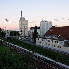 Gold Ochsen Brauerei Ulm