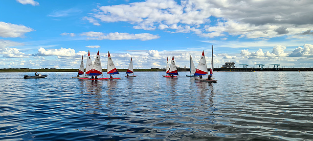 Topper Sailing