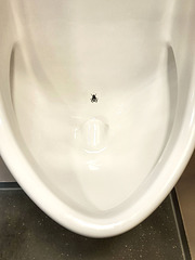 The target fly. The target fly.