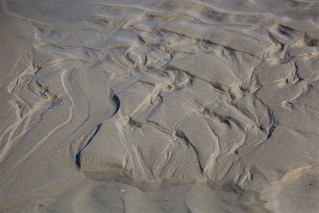 20140912 5241VRAw [NL] Watt, Terschelling