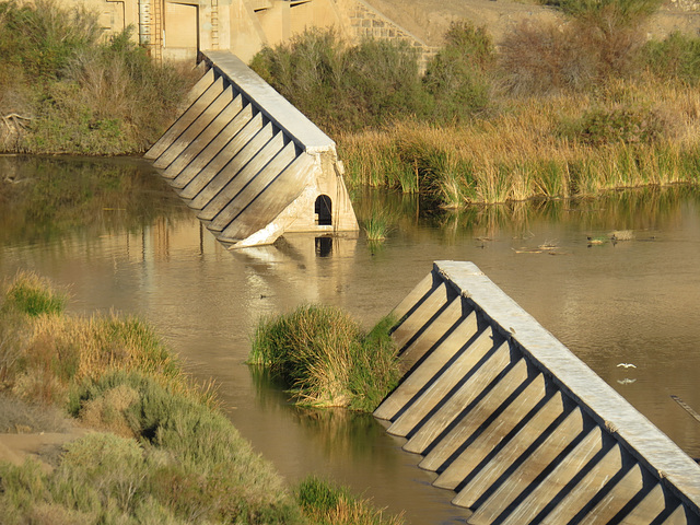 Doomed Dam