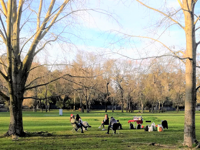 The first picnic of the year