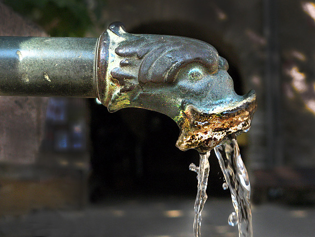 Spouting Water Dragon in Saint Guilhem le Désert