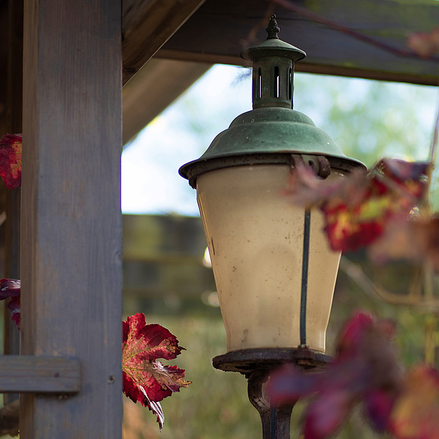 Lampe an einer Weinlaube (2 x PiP) - Schloß Dyck