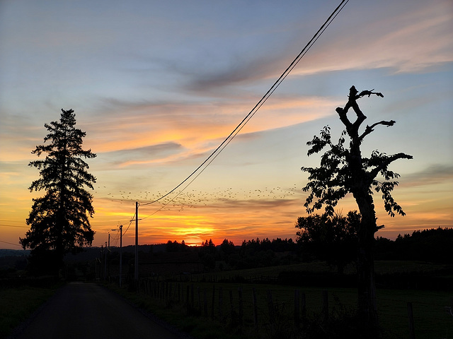 Ce soir / This evening [EXPLORER]