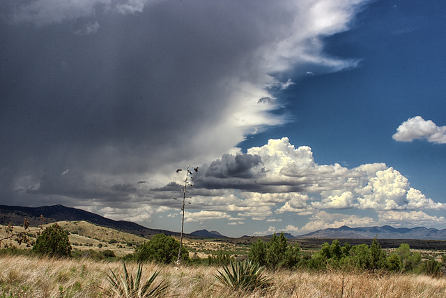 Brown Canyon Ranch