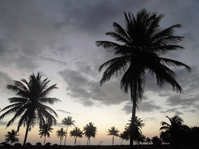 Sunrise with a cuban flavor / Un lever de soleil à saveur cubaine