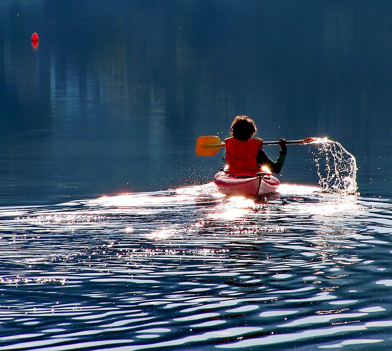 Lago di Avigliana : - SPC 4/2019 "life at the lake" - 1̊ - 9 points