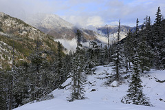 The Enchantments